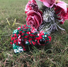 Load image into Gallery viewer, Peppermint Toads - Arrives after Christmas