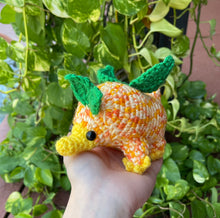 Load image into Gallery viewer, Orange Bird / Satsuma Snoot