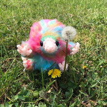 Load image into Gallery viewer, Sweets Shop Baby Snoot