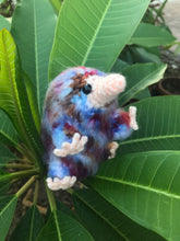 Load image into Gallery viewer, Seaside Baby Snoot