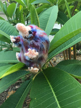 Load image into Gallery viewer, Seaside Baby Snoot