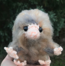 Load image into Gallery viewer, Bookseller Snoot