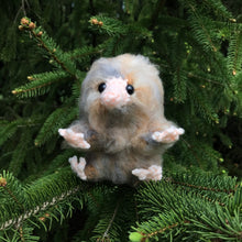 Load image into Gallery viewer, Bookseller Snoot