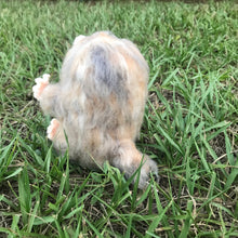 Load image into Gallery viewer, Bookseller Snoot