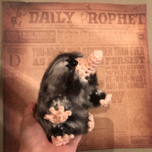 Load image into Gallery viewer, Daily Paper Baby Snoot