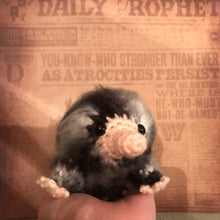 Load image into Gallery viewer, Daily Paper Baby Snoot