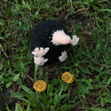 Load image into Gallery viewer, "Bea" Snoot