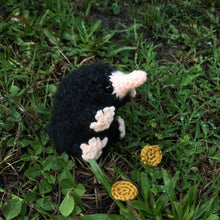 Load image into Gallery viewer, "Bea" Snoot