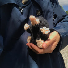 Load image into Gallery viewer, "Bea" Snoot