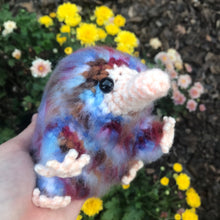 Load image into Gallery viewer, Seaside Baby Snoot