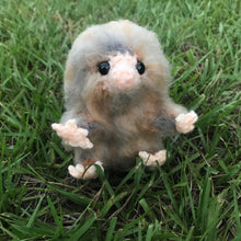 Load image into Gallery viewer, Bookseller Snoot