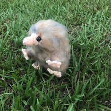 Load image into Gallery viewer, Bookseller Snoot