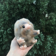 Load image into Gallery viewer, Bookseller Snoot