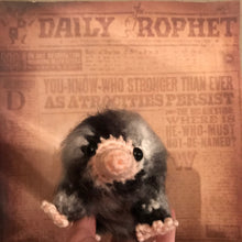 Load image into Gallery viewer, Daily Paper Baby Snoot