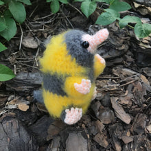 Load image into Gallery viewer, Loyal Snoot