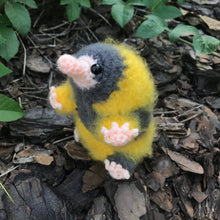 Load image into Gallery viewer, Loyal Snoot