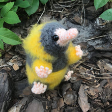 Load image into Gallery viewer, Loyal Snoot