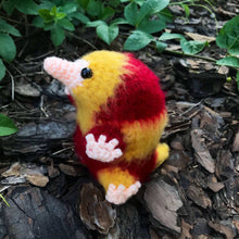 Load image into Gallery viewer, Brave Snoot