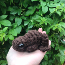 Load image into Gallery viewer, Large Candy Frog - Milk, White, and Dark varieties