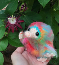 Load image into Gallery viewer, Sweets Shop Baby Snoot