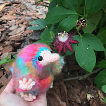 Load image into Gallery viewer, Sweets Shop Baby Snoot