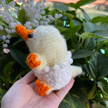 Load image into Gallery viewer, Baby Chick Snoot