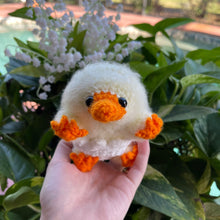 Load image into Gallery viewer, Baby Chick Snoot