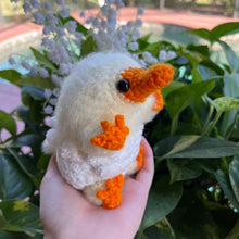 Load image into Gallery viewer, Baby Chick Snoot