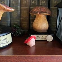 Load image into Gallery viewer, Strawberry Shroomie
