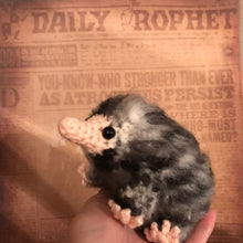 Load image into Gallery viewer, Daily Paper Baby Snoot
